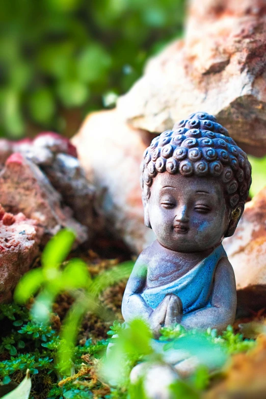 a small statue sitting on top of a lush green field, zen garden, multicoloured, blue, instagram photo