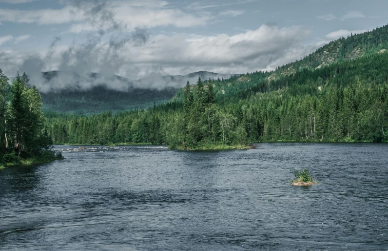 a large body of water surrounded by trees, by Harry Haenigsen, pexels contest winner, salmon, empty remote wilderness, grey, panoramic shot