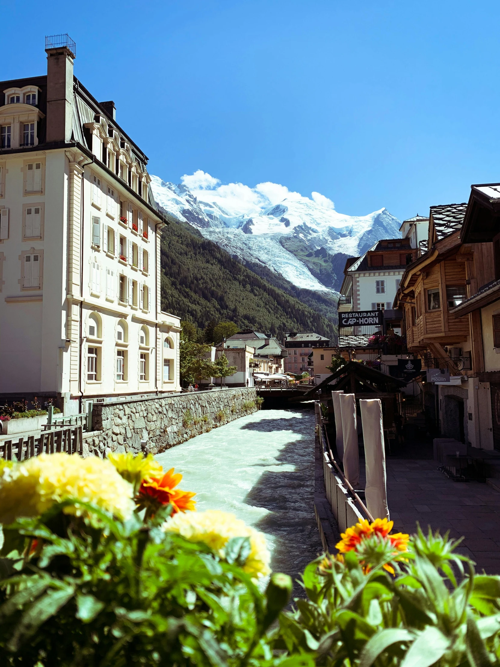 a view of a town with a mountain in the background, chamonix, slide show, flowers, portait image