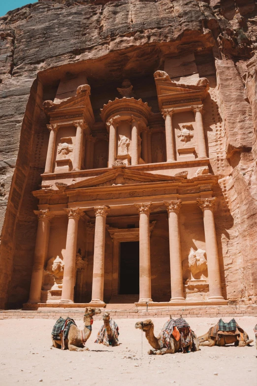 a group of camels sitting in front of a building, an extremely large cave, detailed classical architecture, taken in the late 2000s, puṣkaracūḍa