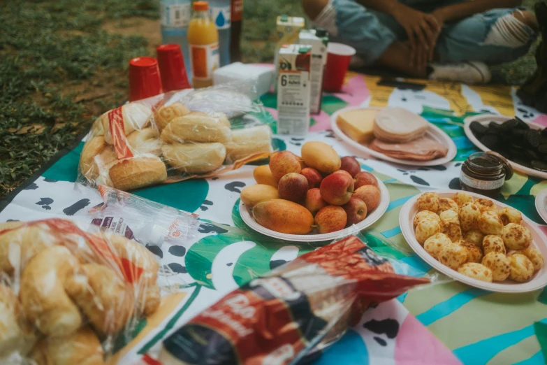 a group of people sitting on top of a grass covered field, a still life, pexels contest winner, hyperrealism, the table is full of food, polka dot, at a park, traditional corsican
