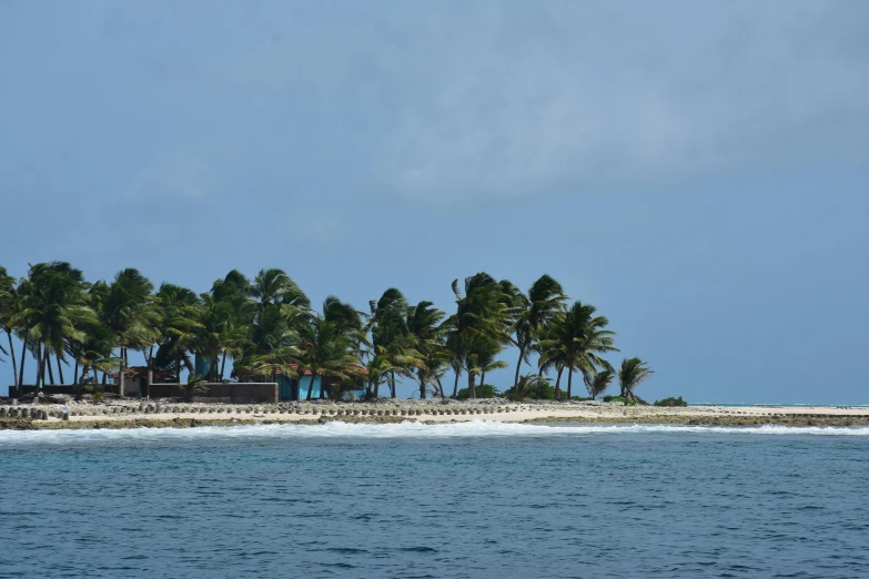 a group of palm trees sitting on top of a sandy beach, by Carey Morris, unsplash, hurufiyya, floating island, research station, viewed from the ocean, 2000s photo