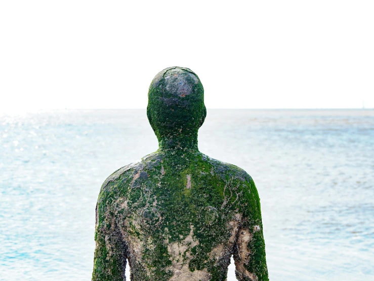 a statue of a man standing in front of a body of water, inspired by Scarlett Hooft Graafland, unsplash, environmental art, moldy, greenish skin, pictured from the shoulders up, skintight suits