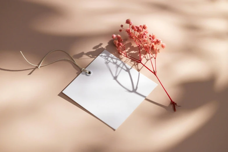 a piece of paper sitting on top of a table, inspired by Robert Mapplethorpe, trending on pexels, arabesque, pale red, large tree casting shadow, square sticker, botanicals