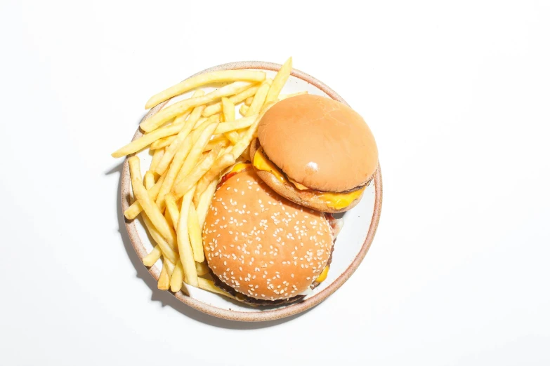 a hamburger and french fries on a plate, a still life, unsplash, hyperrealism, set against a white background, 🦩🪐🐞👩🏻🦳, bowl filled with food, ad image