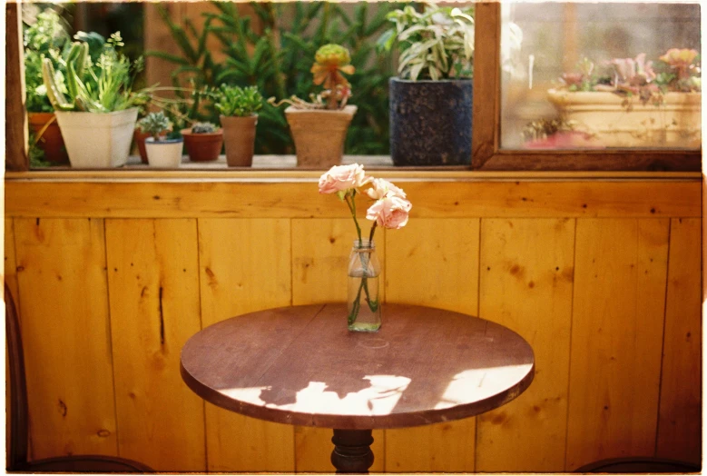 a table with a vase of flowers on it, unsplash, romanticism, wood paneling, sunfaded, plants and patio, single portrait