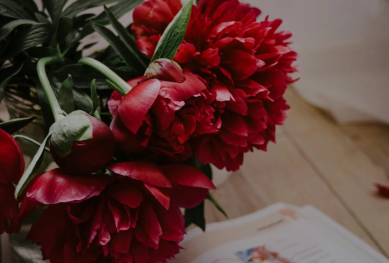 a vase filled with red flowers on top of a wooden table, by Emma Andijewska, pexels contest winner, peony, reading the book about love, gif, closeup - view