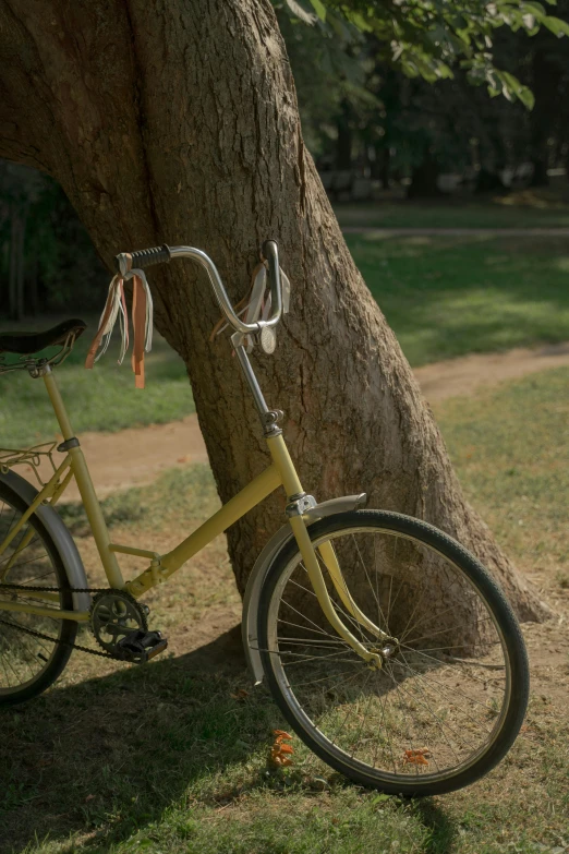 a yellow bicycle leaning against a tree in a park, by Sven Erixson, cambodia, close - up photograph, album, wide