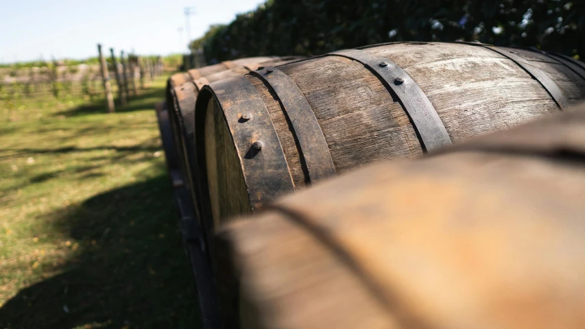 some very big old wooden barrels in the grass