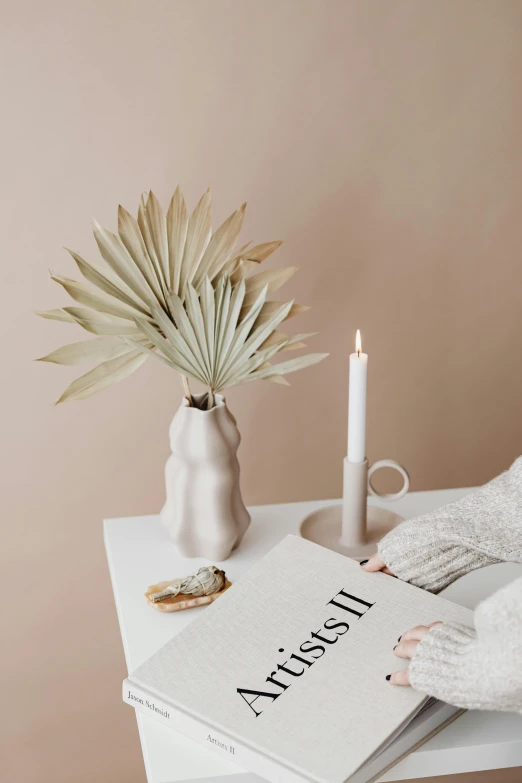 a book sitting on top of a table next to a plant, a still life, by Maud Naftel, featured on pinterest, minimalism, holding a candle holder, dreamy light color palette, tropical mood, product introduction photo