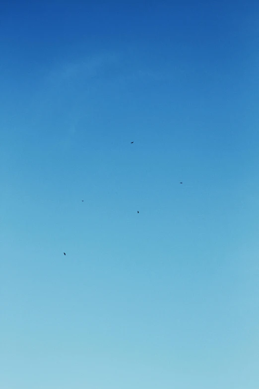 a group of people sitting in a field next to grass