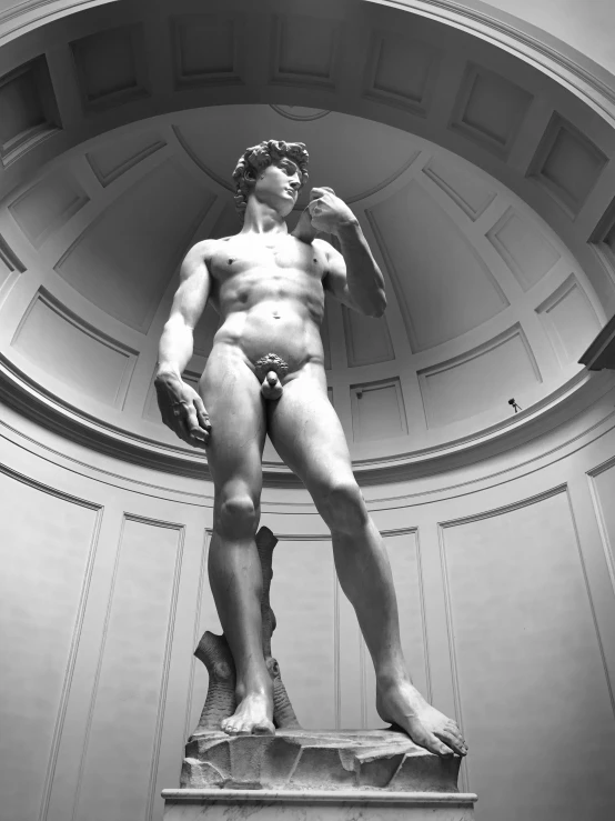 a black and white photo of a statue, inspired by Michaelangelo, david la chapelle, archimboldo!!!, trending on art, 1999 photograph