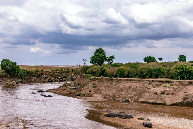 a herd of elephants walking across a river, by Peter Churcher, pexels contest winner, hurufiyya, erosion channels river, seen from afar, thumbnail, high cliff