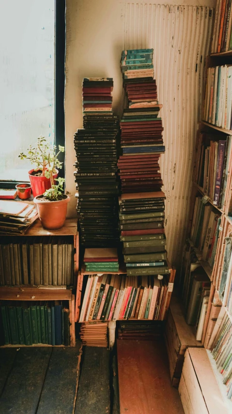 a room filled with lots of books next to a window, an album cover, pexels, green and brown color palette, bookshelf, stacked image, indie