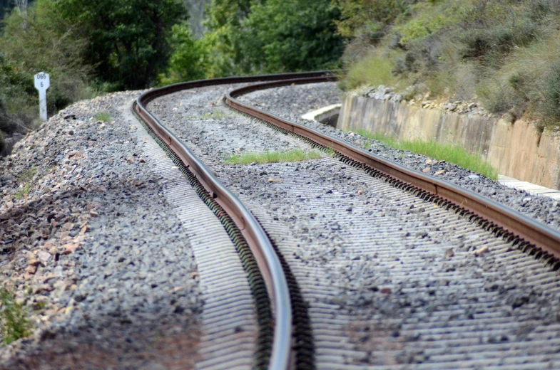 a train traveling down train tracks next to a forest, by Pamela Drew, flickr, bezier curve, closeup photograph, animation, rail tracks lead from the mine