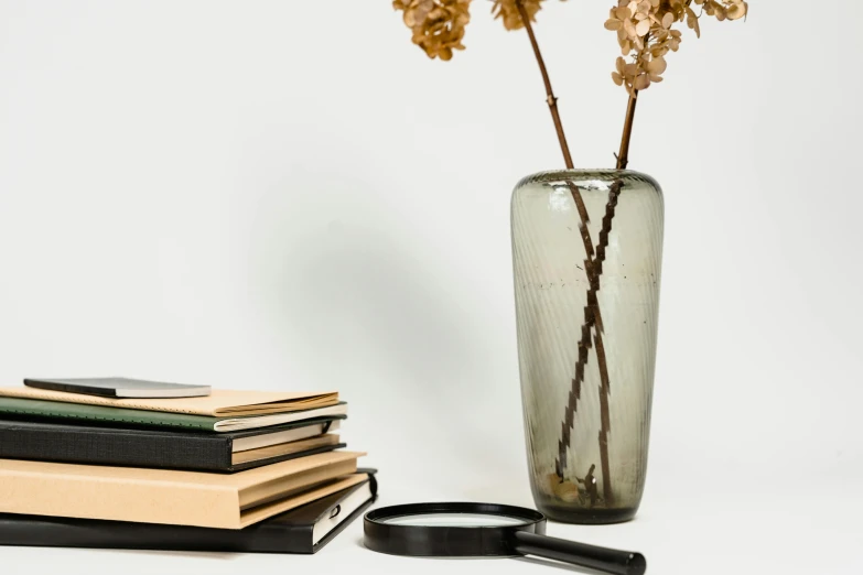 a vase filled with dried flowers next to a pile of books, trending on unsplash, modernism, magnifying glass, side profile view, inspect in inventory image, grey