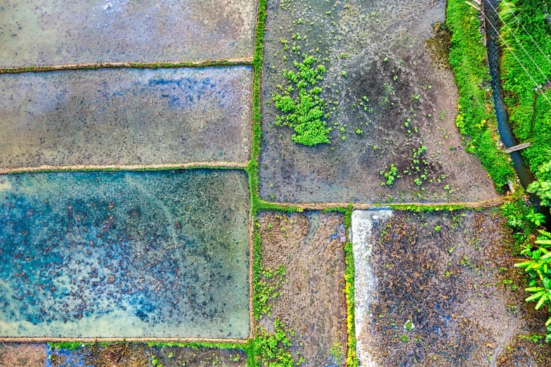 a bird's eye view of a stone walkway, by Jan Rustem, color field, moldy, vibrant greenery, square lines, colour corrected