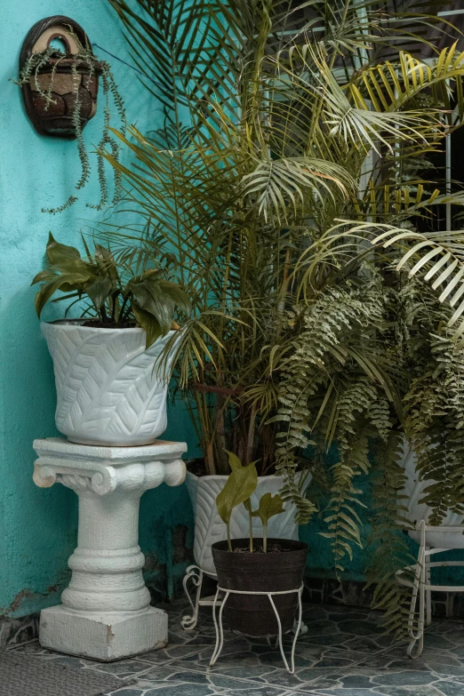 two white pedestal planters on a patio with plants in the background