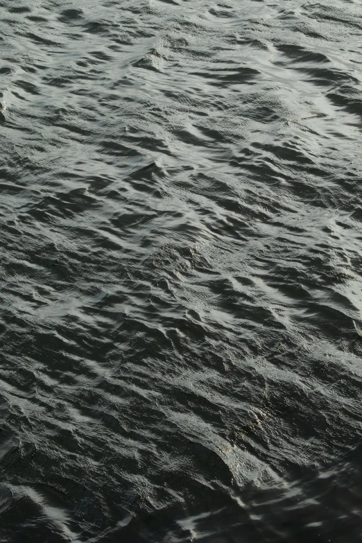 a black and white photo of a body of water, an album cover, by Vija Celmins, unsplash, conceptual art, incredibly detailed oil painting, close up 1 9 9 0, hyper - detailed color photo, (night)