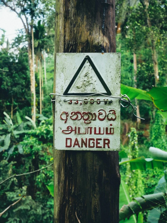 a sign is hanging on a tree and reads danger