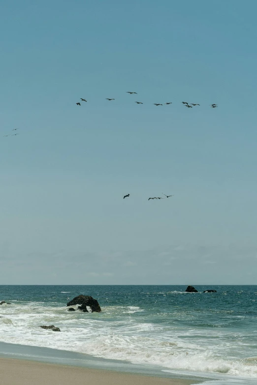 a flock of birds flying over a beach next to the ocean, prop rocks, slide show, pch, helicopters firing