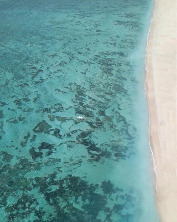 a large body of water next to a sandy beach, an album cover, pexels contest winner, air shot, reefs, uncropped, flight