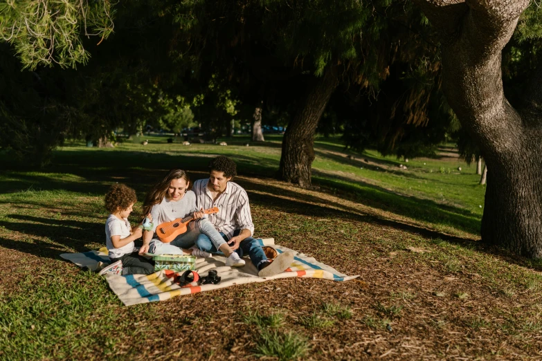 a family sitting on a blanket in a park, pexels contest winner, figuration libre, los angeles ca, picnic, shot on sony a 7 iii, 15081959 21121991 01012000 4k