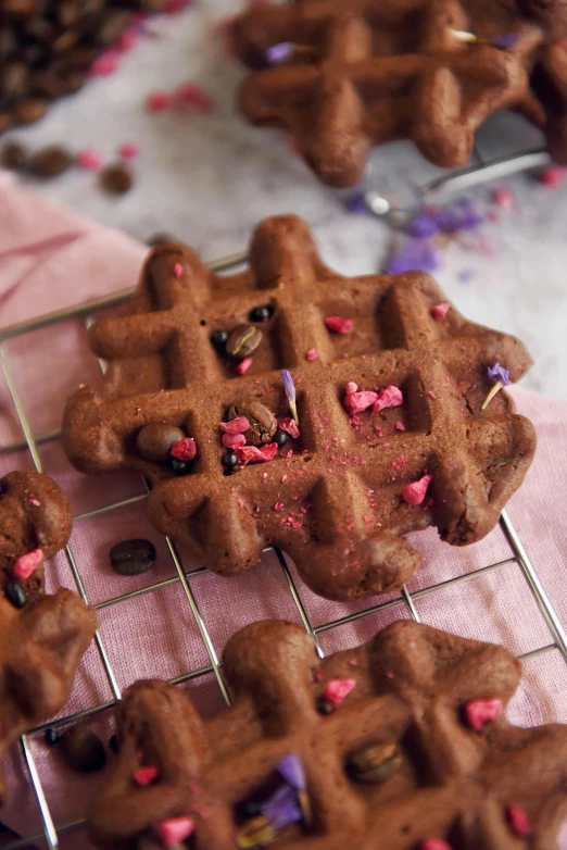 chocolate waffles with sprinkles on a cooling rack, a portrait, by Valentine Hugo, hurufiyya, pink, medium-shot, petite