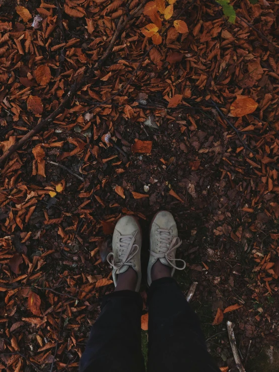 a person standing on top of a pile of leaves, inspired by Elsa Bleda, unsplash contest winner, leather shoes, ✨🕌🌙, vibrant but dreary orange, snapchat photo