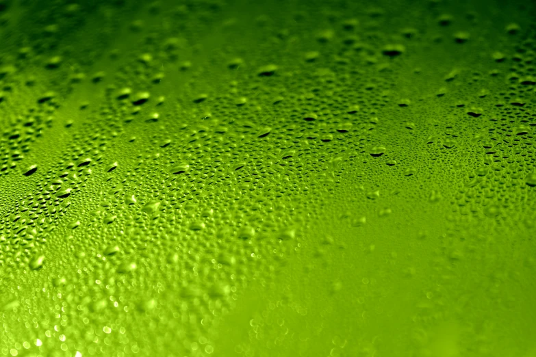 a close up of water droplets on a green surface, by Adam Marczyński, pexels, digital art, surface with beer-texture, mobile wallpaper, neon green, 8 k vertical wallpaper