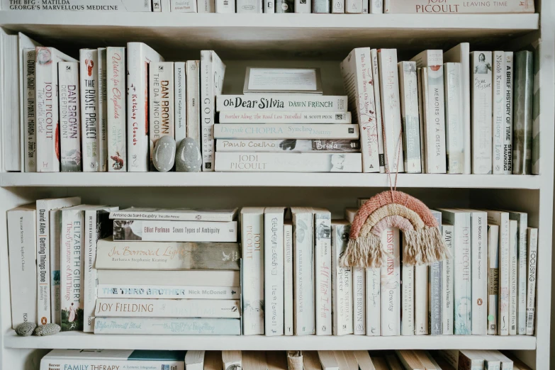 a book shelf filled with lots of books, trending on unsplash, cream and white color scheme, fan favorite, white and pink cloth, leaked image