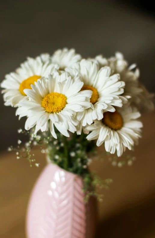 a pink vase filled with white and yellow flowers, holding daisy, up-close, soft light from the side, detailed product shot