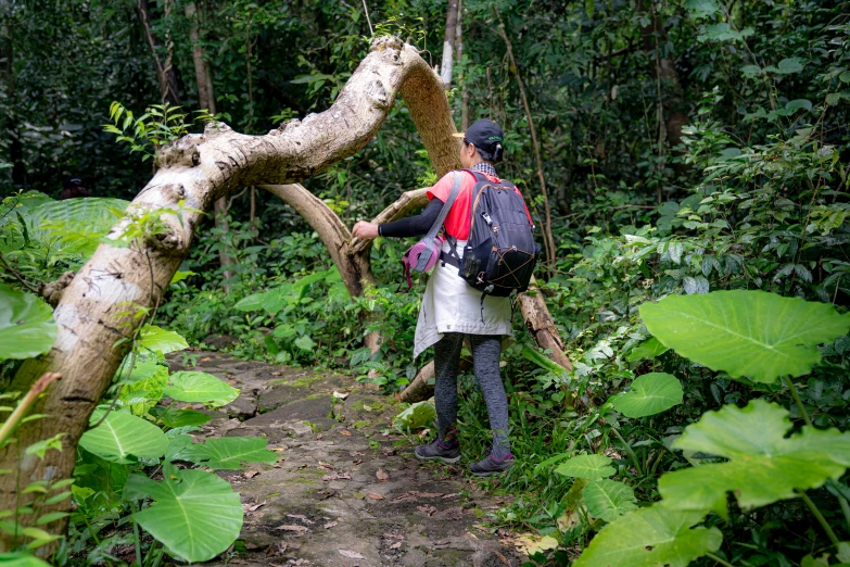 a man with a backpack walking through a forest, sumatraism, avatar image