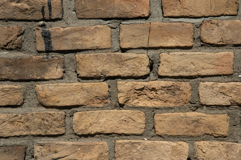 closeup of the brown bricks in a wall