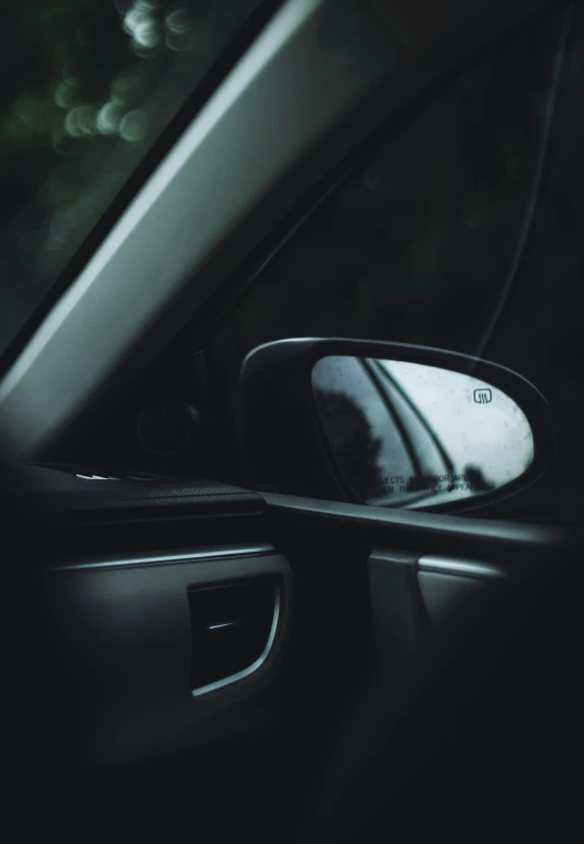 a side view mirror sitting on the side of a car door