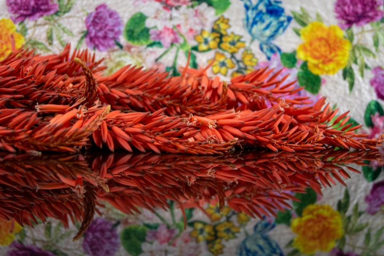 a pile of red chili sitting on top of a table, by Carey Morris, unsplash, hyperrealism, wrapped in flowers and wired, vibrant corals, intricate foreground, an unknown ethnographic object