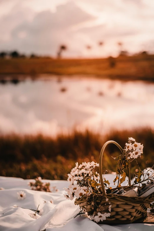 a basket filled with flowers sitting on top of a blanket, a picture, by Daniel Seghers, unsplash contest winner, near a small lake, soft sunset lighting, bubbly scenery, country landscape