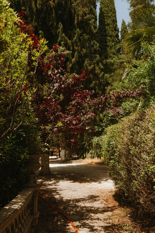 a red fire hydrant sitting on the side of a road, renaissance, lush garden surroundings, greek setting, walking through a lush forest, parce sepulto