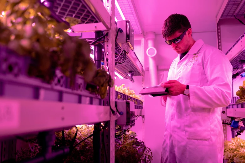 a man in a lab coat looking at a tablet, by Lee Loughridge, unsplash, hydroponic farms, brightly lit purple room, photographed for reuters, bottom lighting
