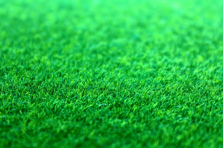 green background with a small red fire hydrant in the foreground