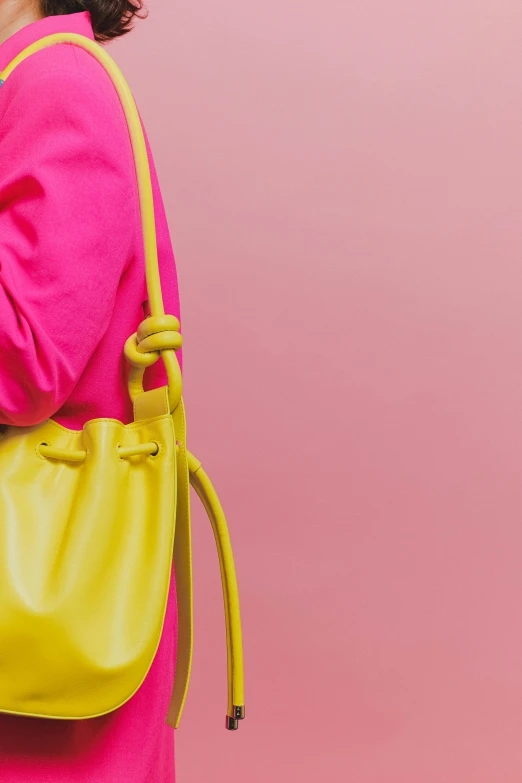 a woman in a pink dress holding a yellow purse, by Peter Alexander Hay, trending on pexels, minimalism, wearing a yellow hoodie, colored neons, close up details, hanging