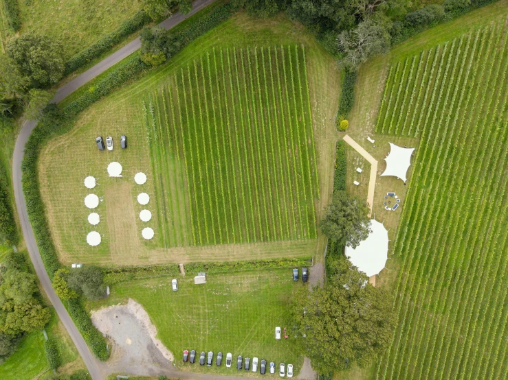 an aerial view of a field with tents, by Julian Allen, wine, serpentine maze, d. i. y. venue, ivy's