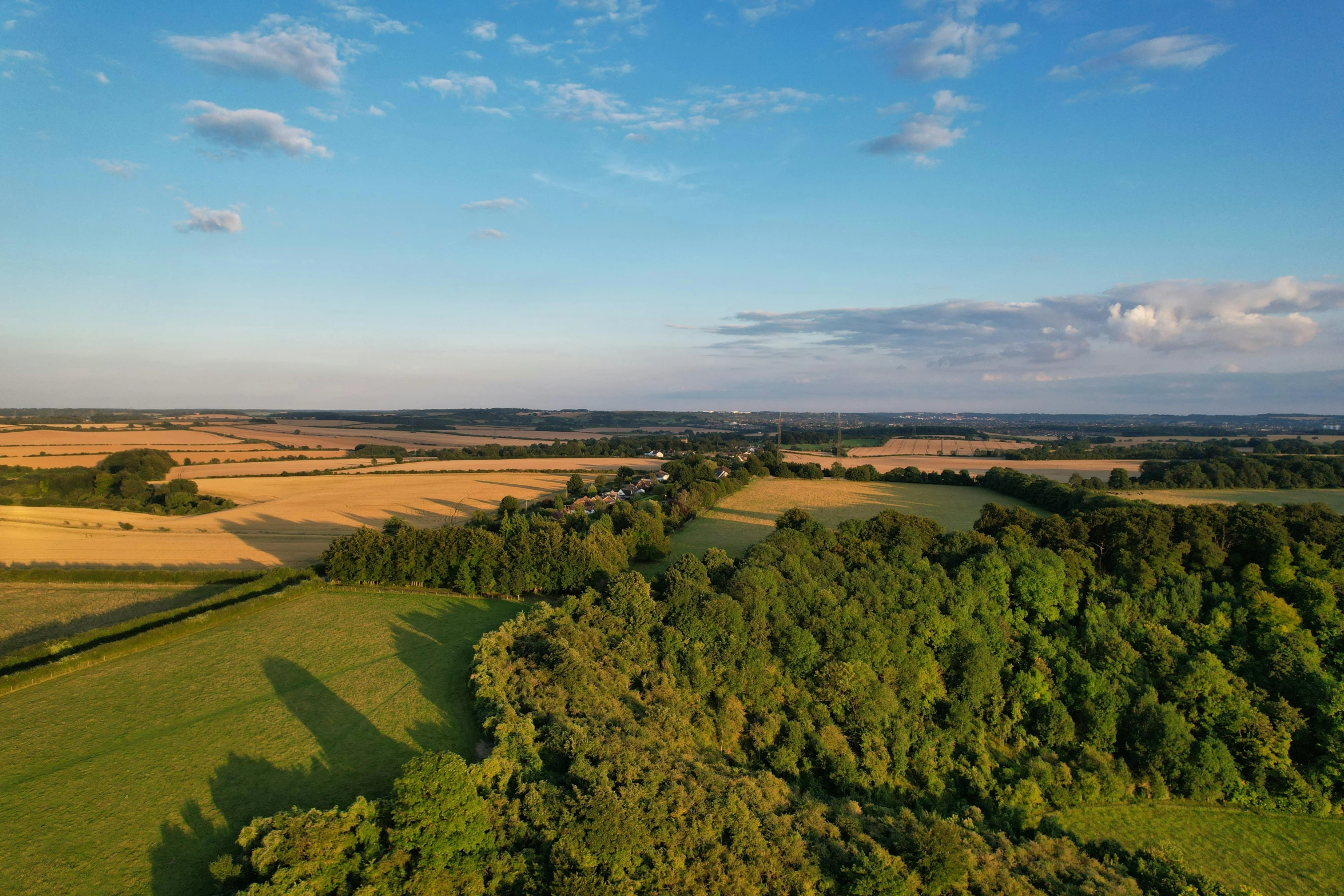 a bird's eye view of trees, a farm and land