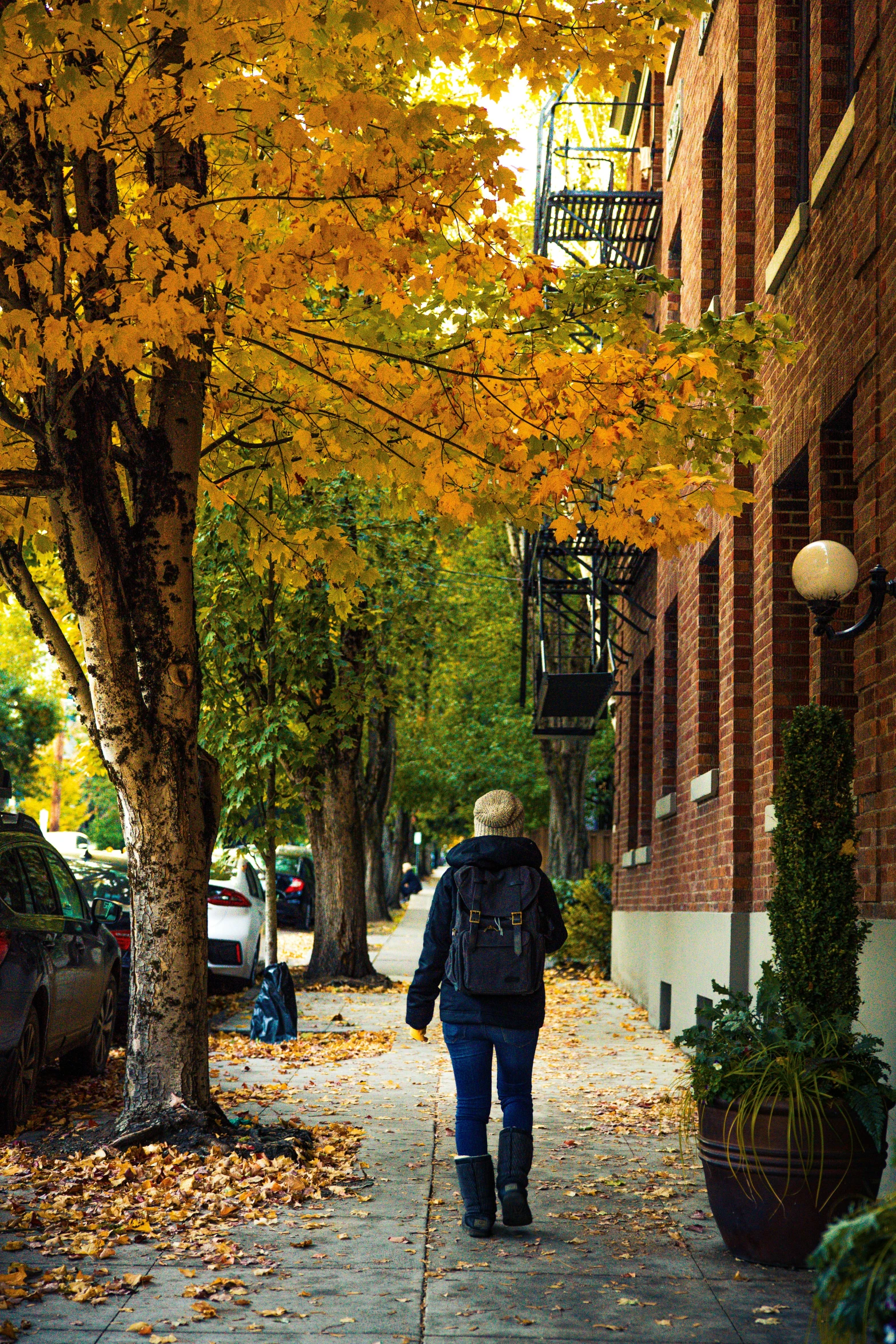 a person walking down a sidewalk next to a tree, inspired by Washington Allston, unsplash contest winner, vancouver school, in fall, apartments, ballard, facing away