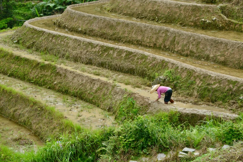 a woman standing on top of a lush green hillside, a photo, digging, staggered terraces, avatar image, maintenance photo