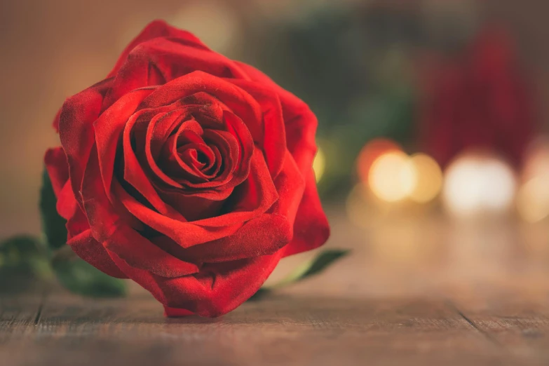 a red rose with green stems on a wooden table