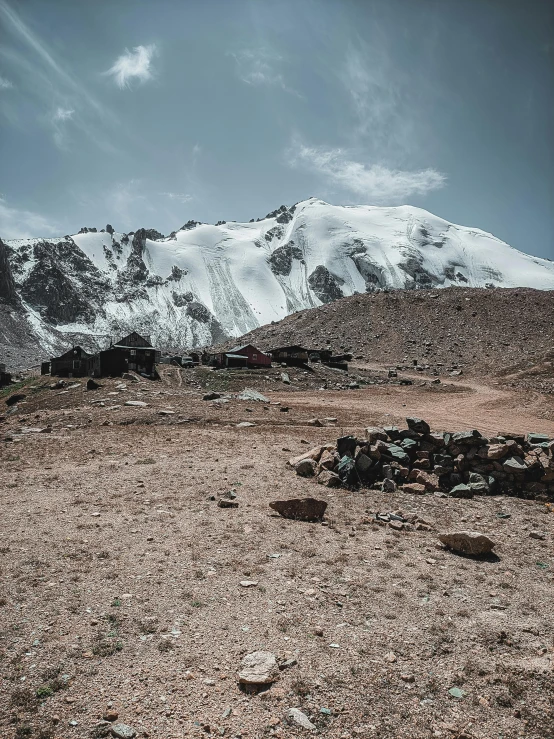 an animal laying on the ground with a mountain in the background