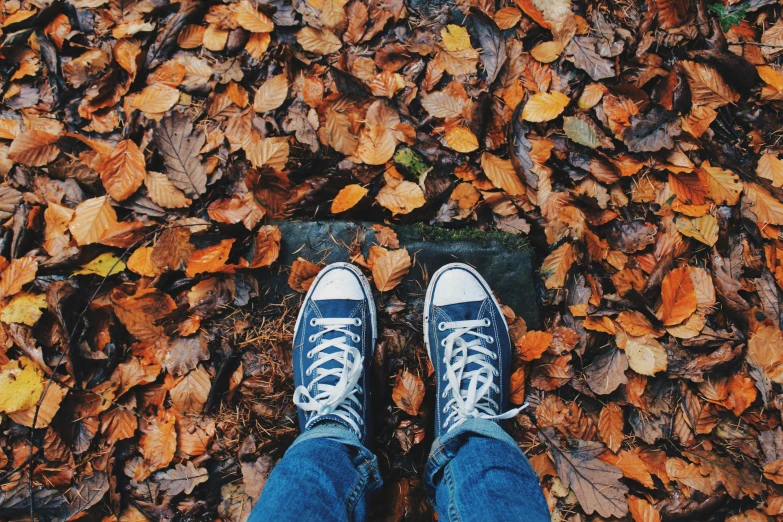 a person standing on top of a pile of leaves, pexels contest winner, blue shoes, 🍂 cute, fall guys, photo realistic”