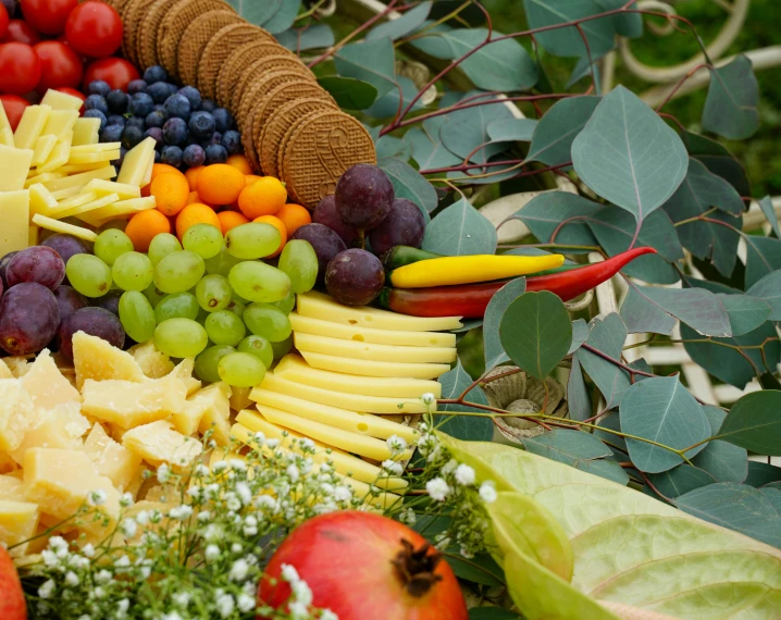 a basket filled with assorted fruits and vegetables, tillamook cheese, botanical rainbow backdrop, grazing, upclose