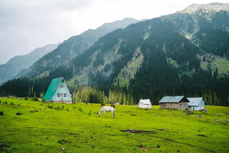 a white horse standing on top of a lush green field, by Julia Pishtar, pexels contest winner, hurufiyya, huts, : psychedelic ski resort, islamic, deers